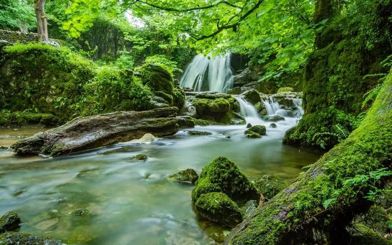 绿色高精度高标准